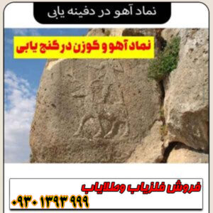 راهنمای جامع تفسیر نماد آهو در گنجیابی؛ از آهوی تنها تا گله آهو