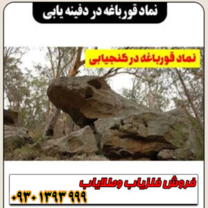 نشانه قورباغه و رفتار سیگنال فلزیاب در خاکهای مرطوب