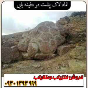 نماد لاکپشت در دفینهیابی؛ از اسطورهها تا علائم واقعی در میدان