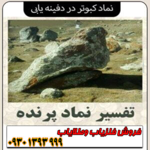 نماد کبوتر در دفینهیابی چیست؟ معانی پنهان این نشانه صلح و پیامآوری