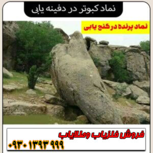 نماد کبوتر در دفینهیابی چیست؟ معانی پنهان این نشانه صلح و پیامآوری