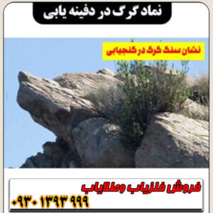 نماد گرگ در دفینه یابی به چه معناست؟ | تفسیر کامل نشانه گرگ در گنج‌یابی