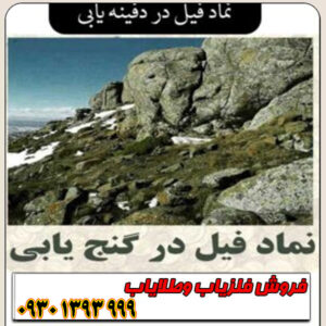 رمزگشایی نماد فیل در گنج‌یابی؛ نشانه‌ها، جهت‌ها، فاصله‌ها و عمق