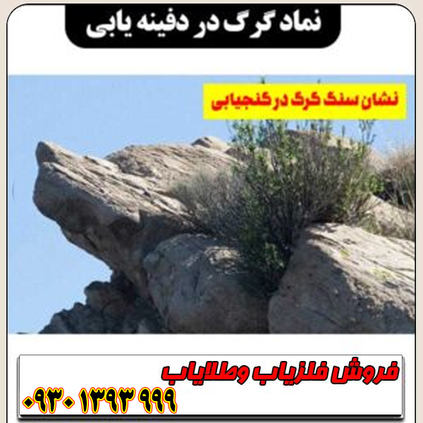 نماد گرگ در دفینه یابی به چه معناست؟ | تفسیر کامل نشانه گرگ در گنجیابی