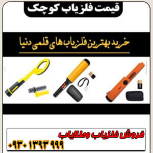 قیمت شگفتانگیز فلزیابهای کوچک مخصوص گنجیابی